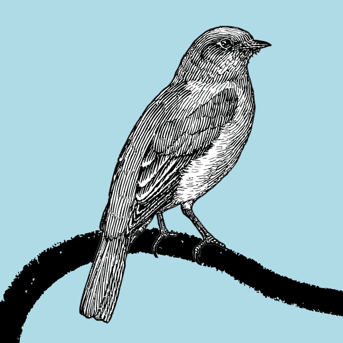 How Sora Works (and What It Means), How to Find Your Next Big Idea Hiding on the Internet, and More