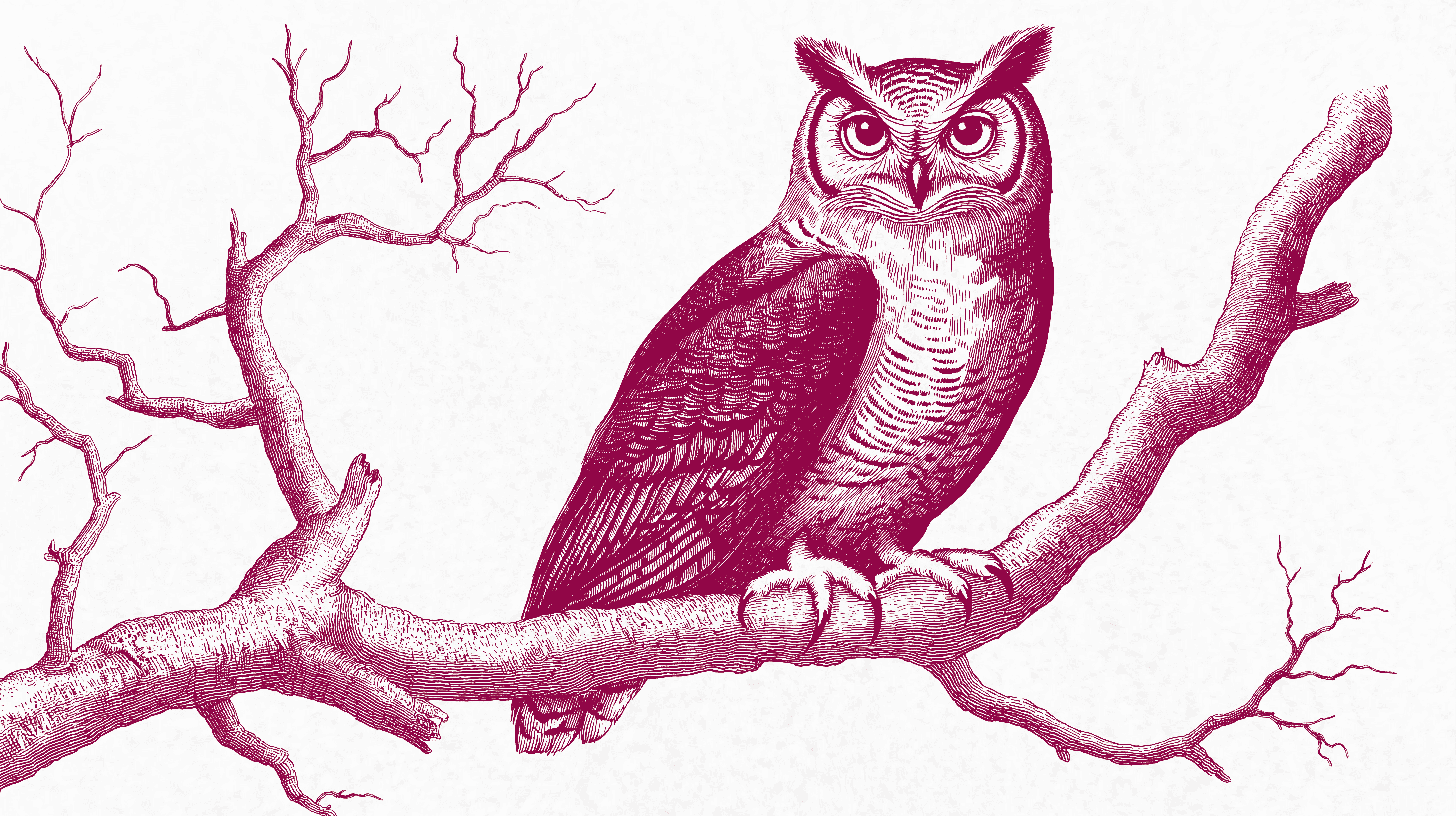 The Coming Age of Wisdom Work