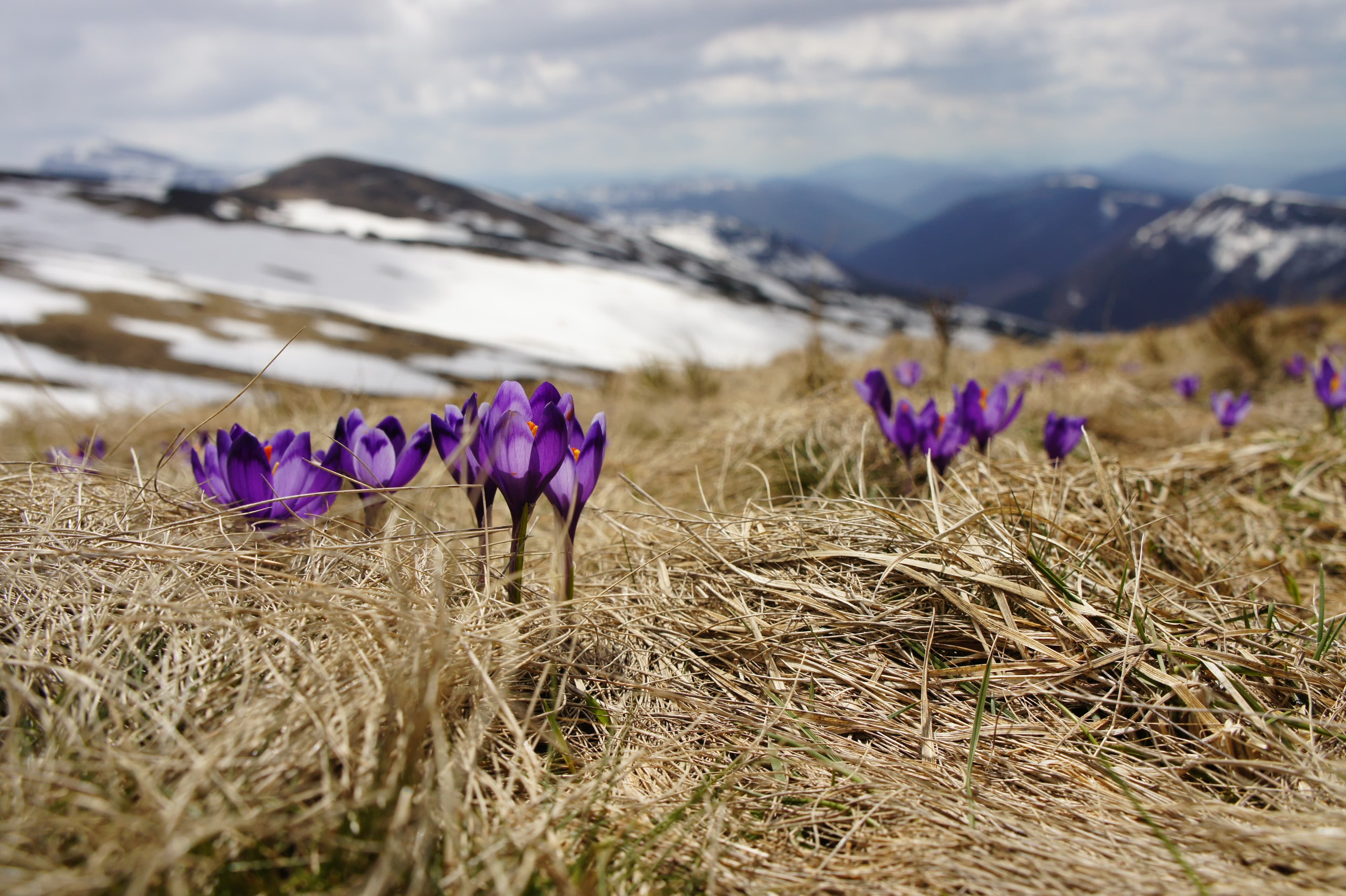 The Sunday Digest: April Showers