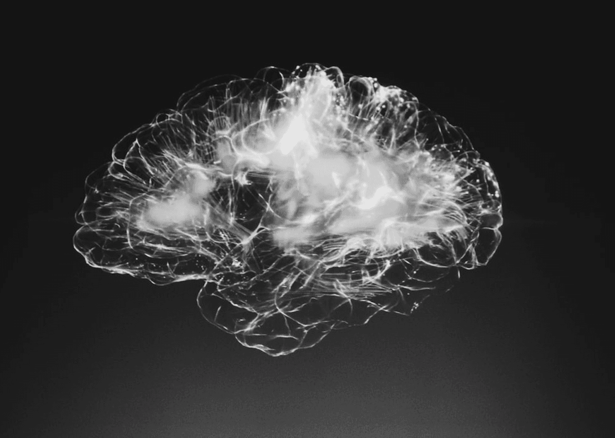 How I Got My Brain Back