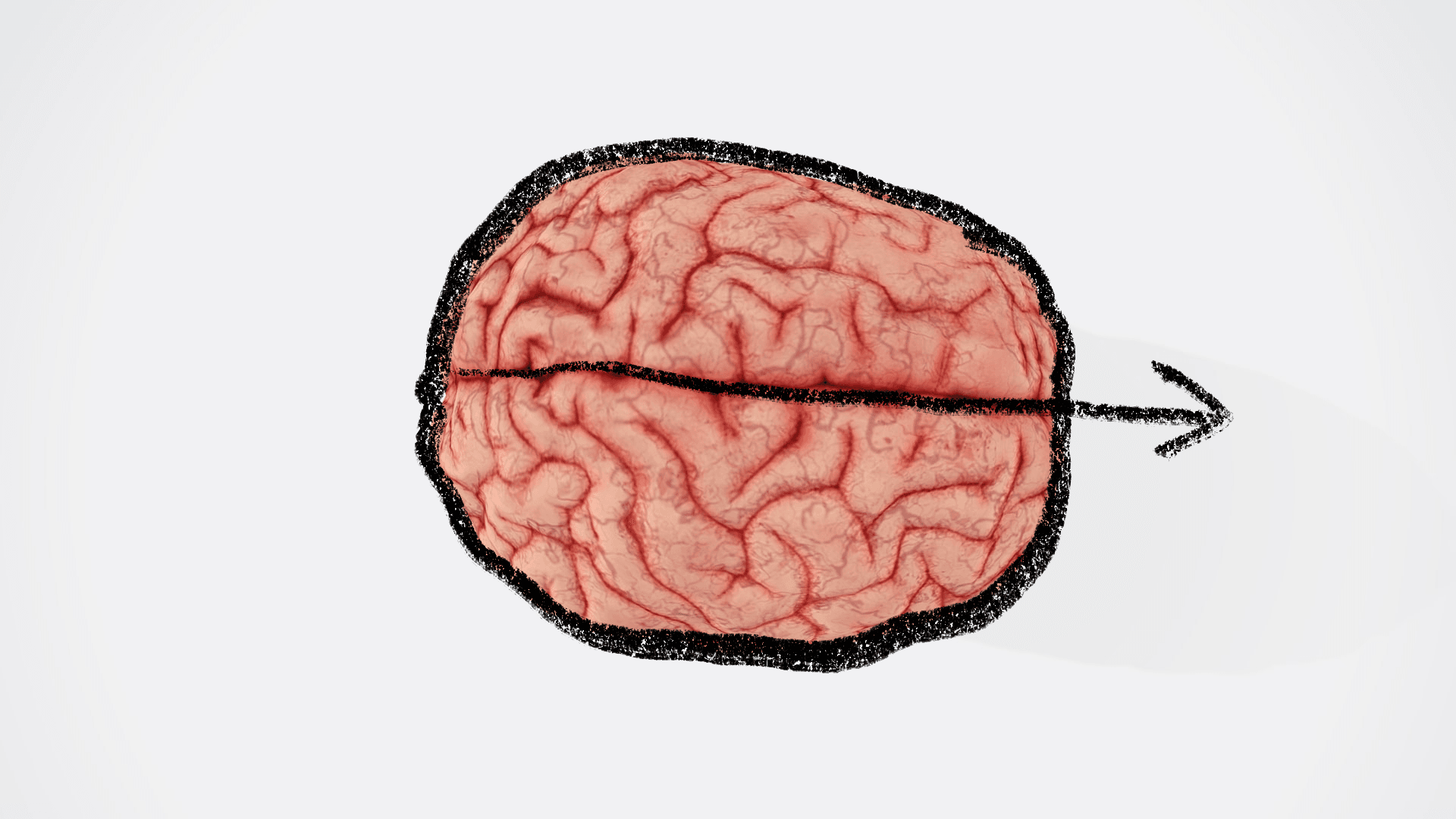 The Neuroscience of Achieving Your Goals