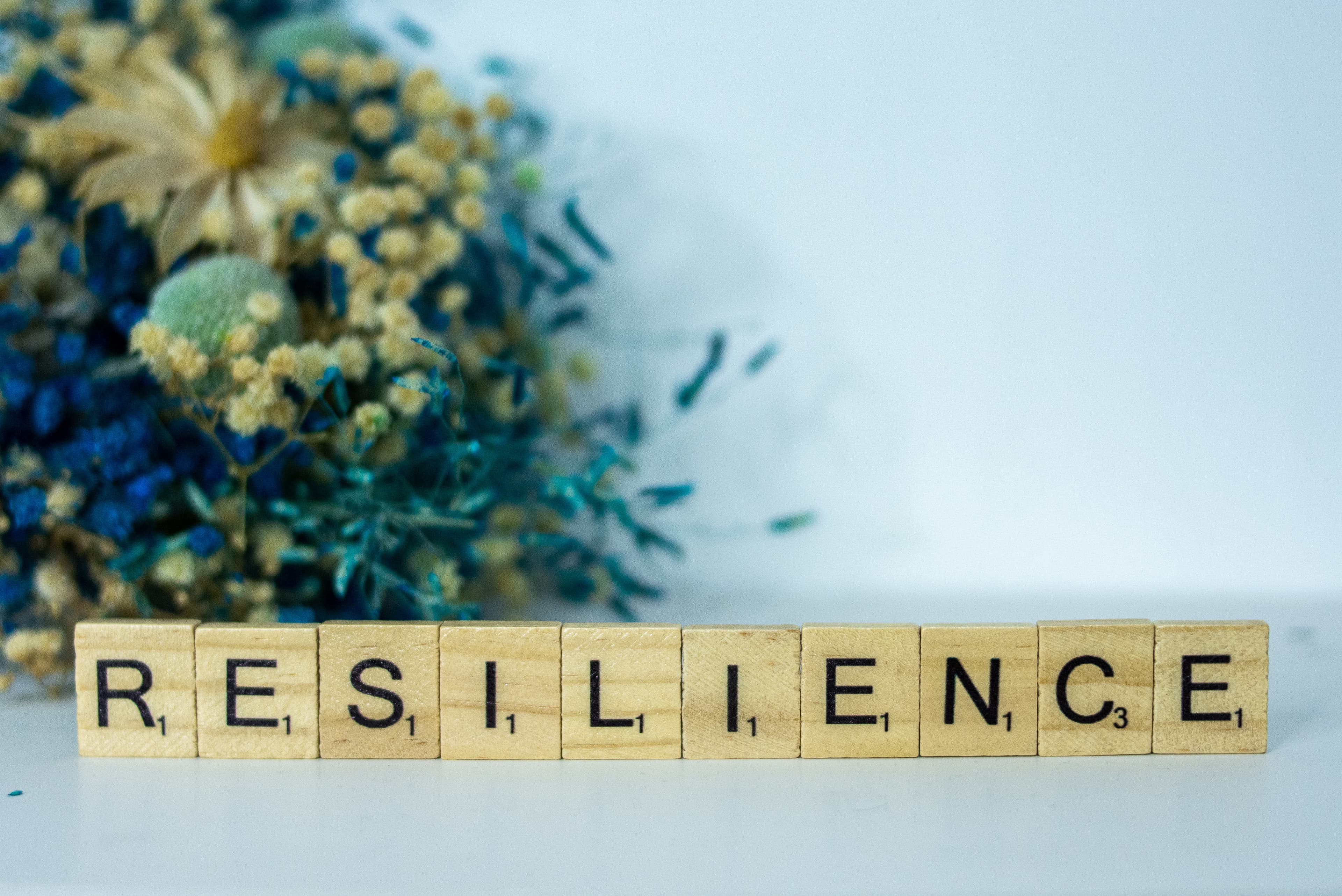Seeing That Frees, Building Resilience, & Facebook’s Capitulation