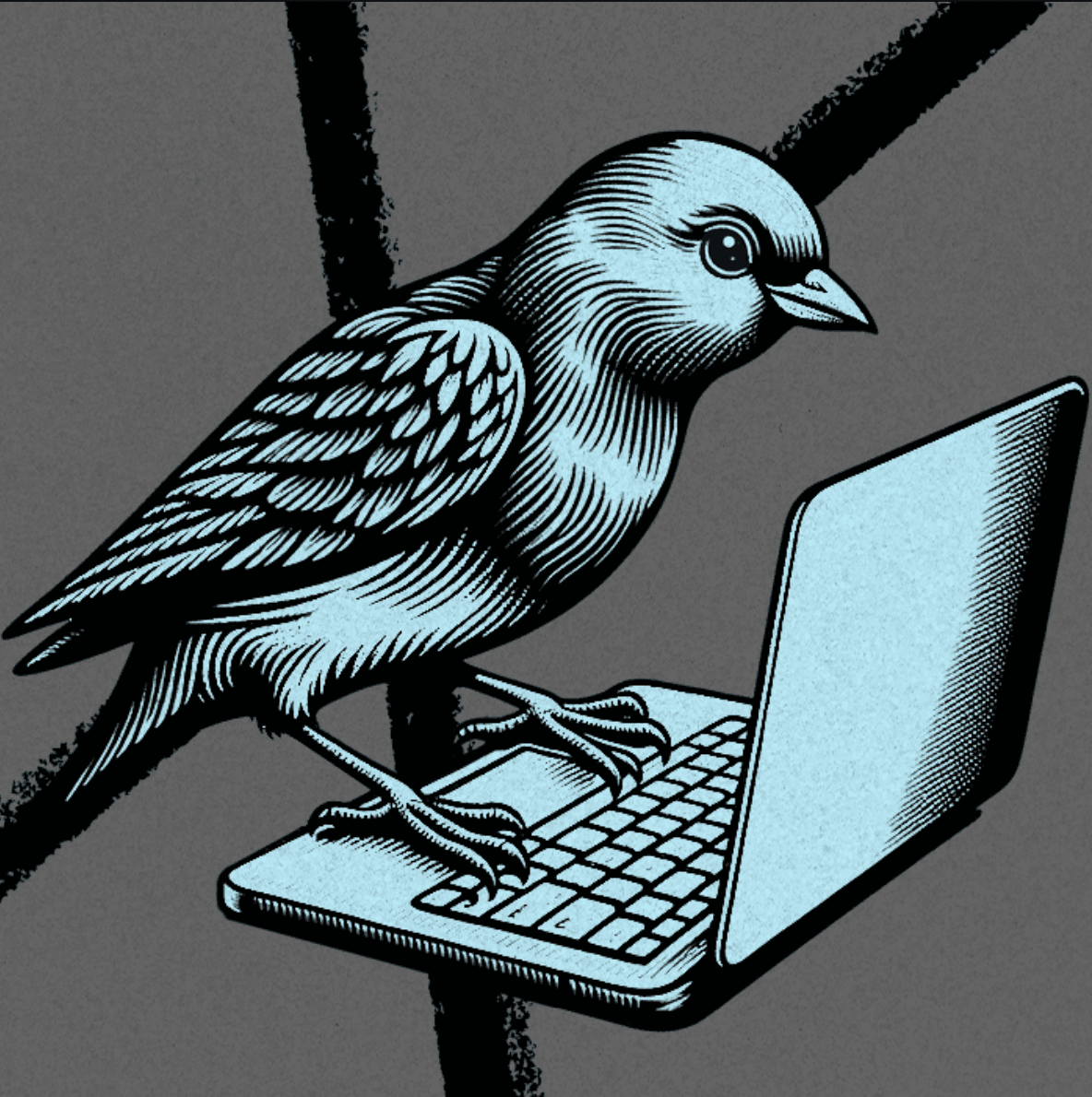 How to Use Twitter