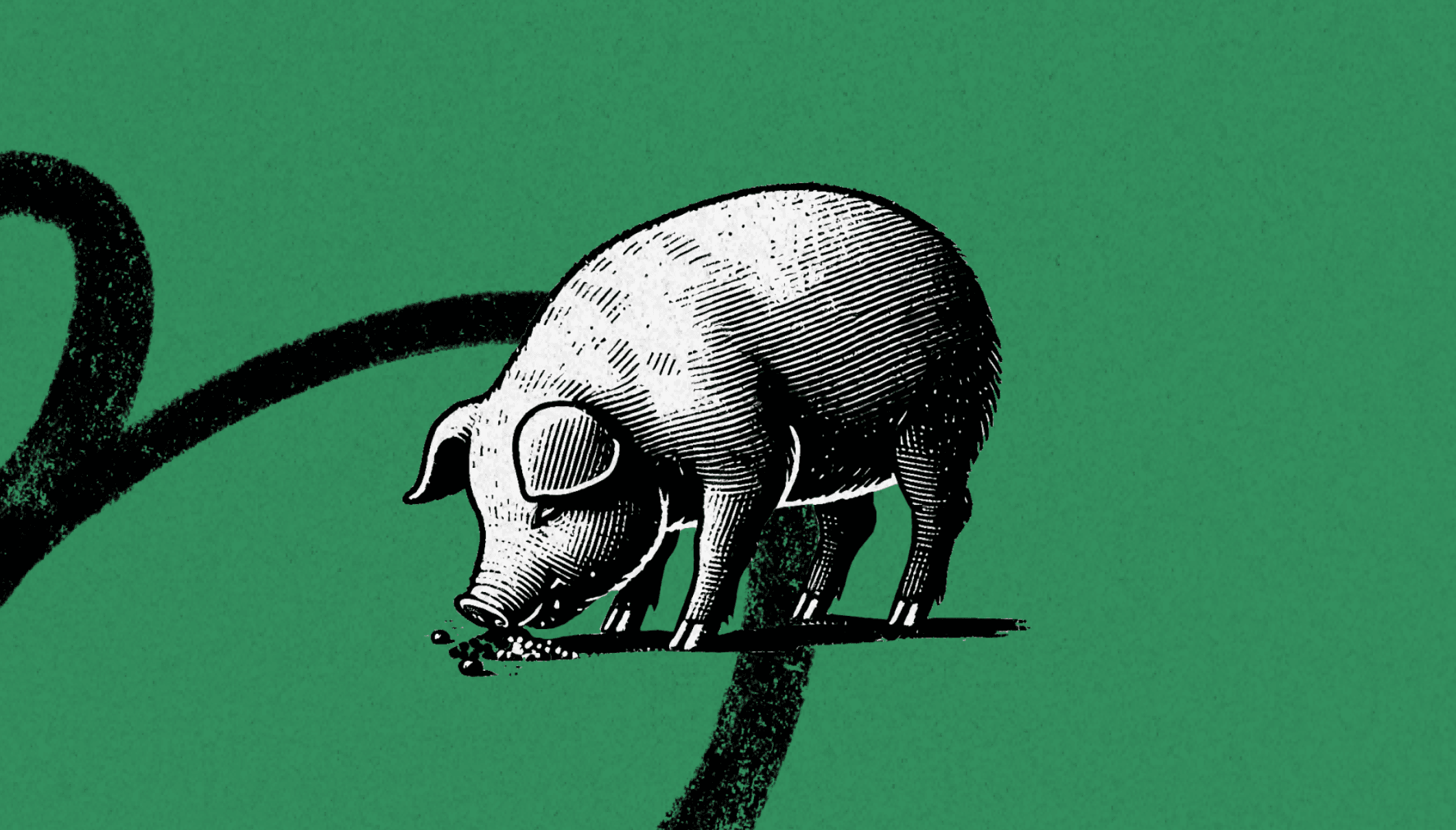 Feasting at the Trough of AI Slop