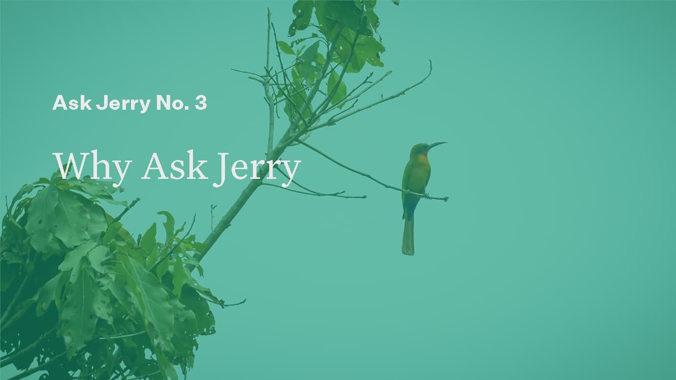 Why Ask Jerry